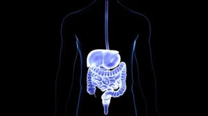 Fecal Zonulin - What does it tell us?