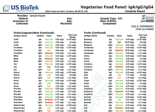 96 Vegetarian Food Panel 4