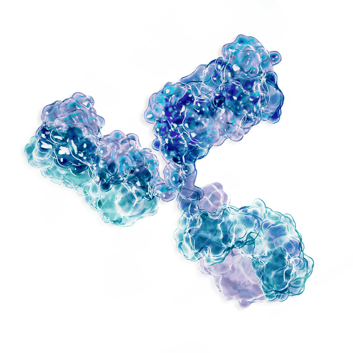 COVID-19 Antibody Test