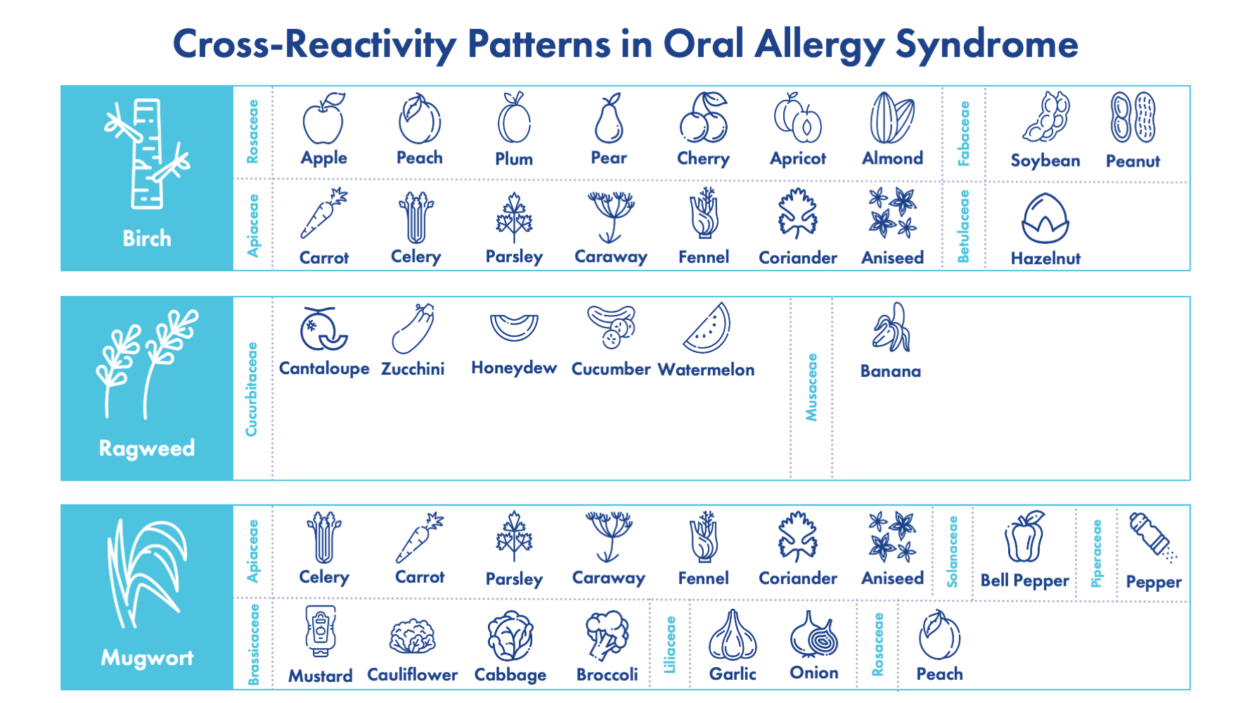 Cross Reactivity Patterns in Oral Allergy Syndrome