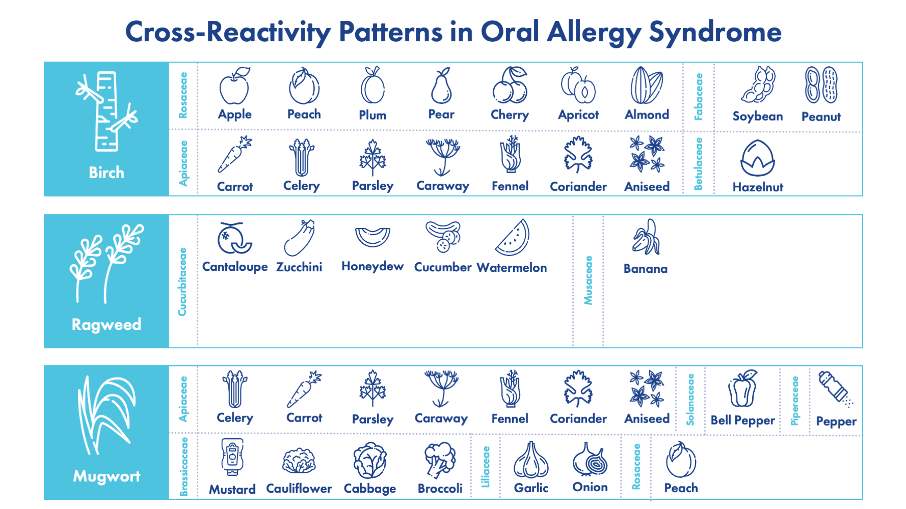 Allergy Syndrome Chart