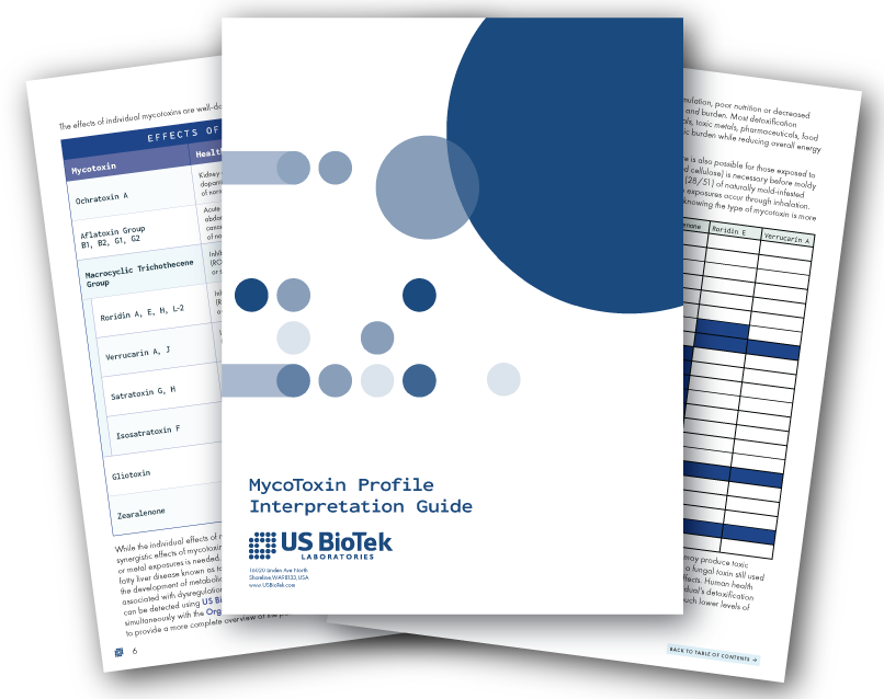 Hero Banner Myco Interp