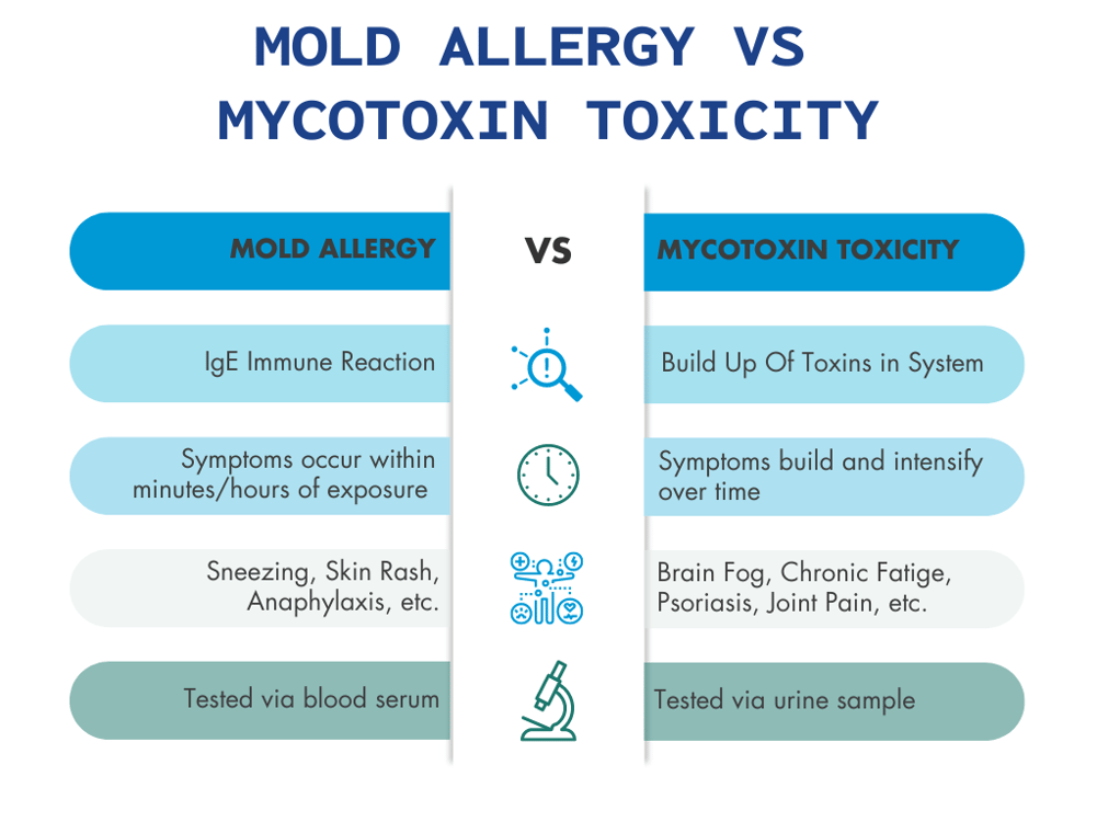 Mold Allergy vs. Mycotoxin Toxicity: Understanding the Differences