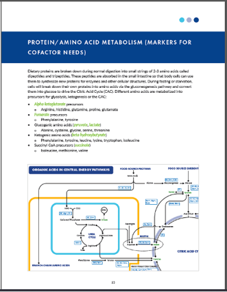 Organic Acids Profile Guide 2