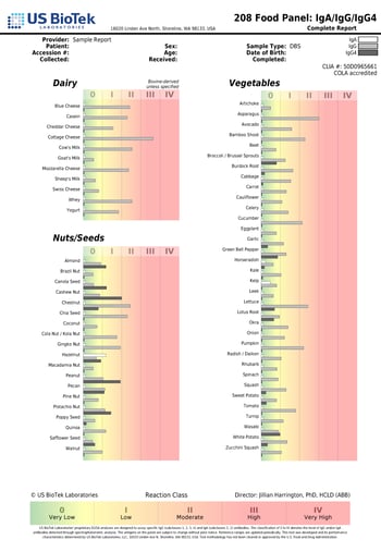 Sample Report - 208 Food Panel - IgA_IgG_IgG4-nowatermark