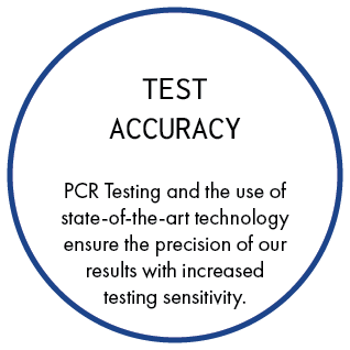 Test Accuracy