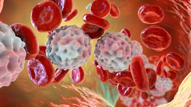  Calprotectin: What High, Moderate, and Low Levels Mean on a Stool Test 