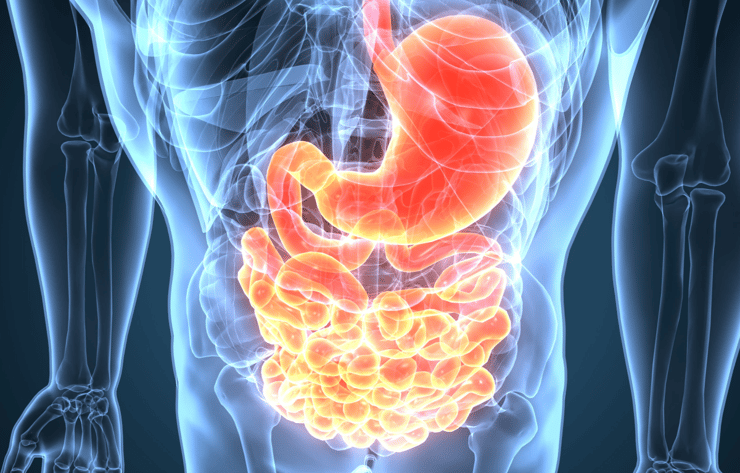 Calprotectin as a marker of gut inflammation in the gastrointestinal tract
