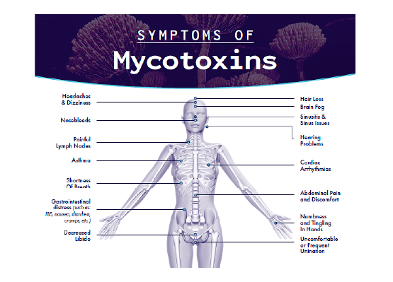 1-Extensive Mycotoxin 2