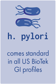 h pylori
