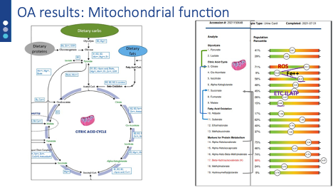 Overview of Mitochondrial Function On OAP Test Results