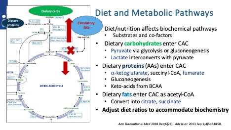Diet and Metabolic Pathways 