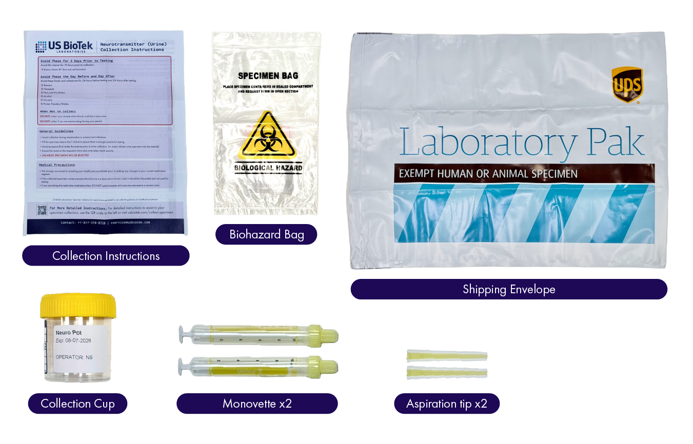 neurotransmitters kit contents 2
