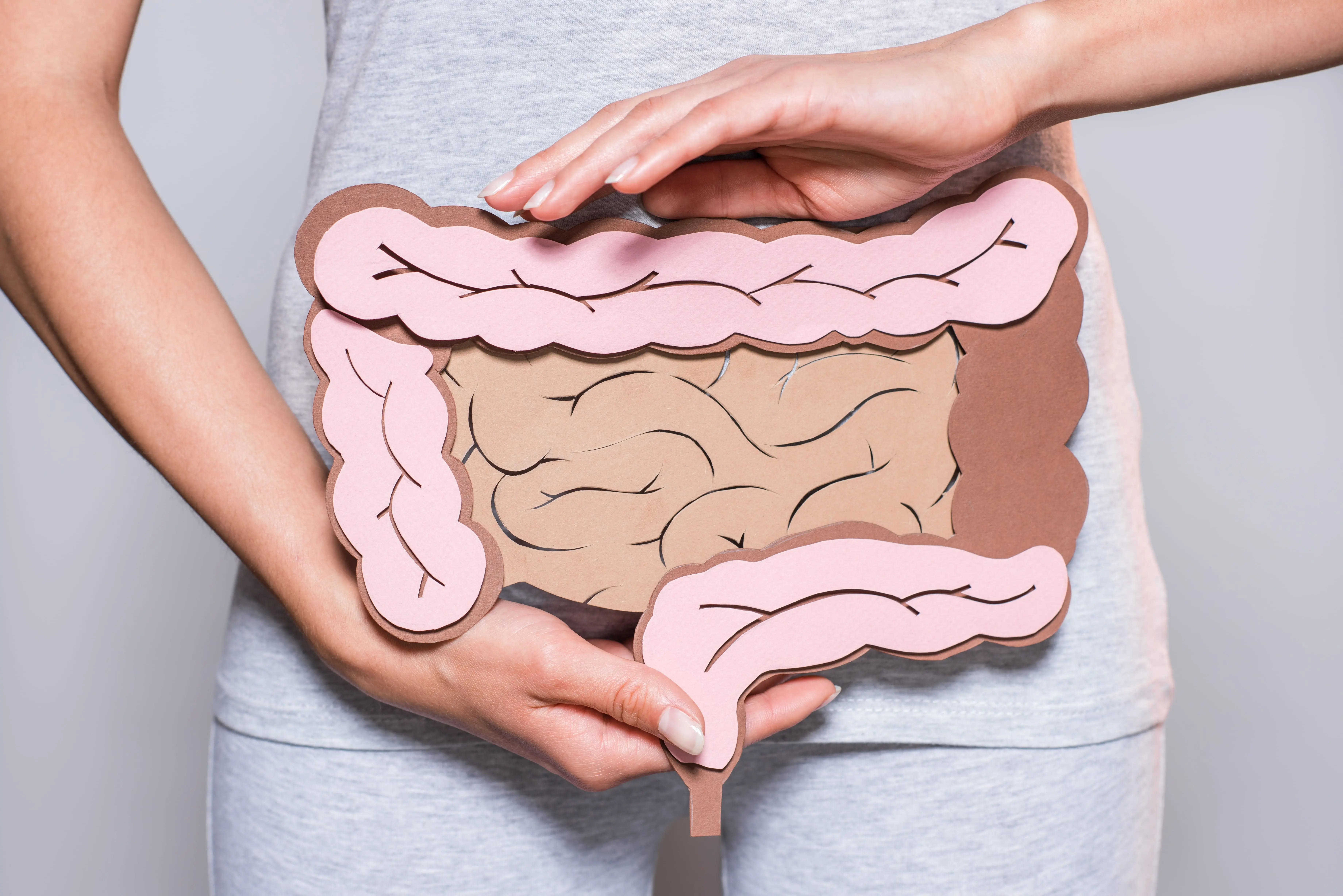 gut health - GI tract