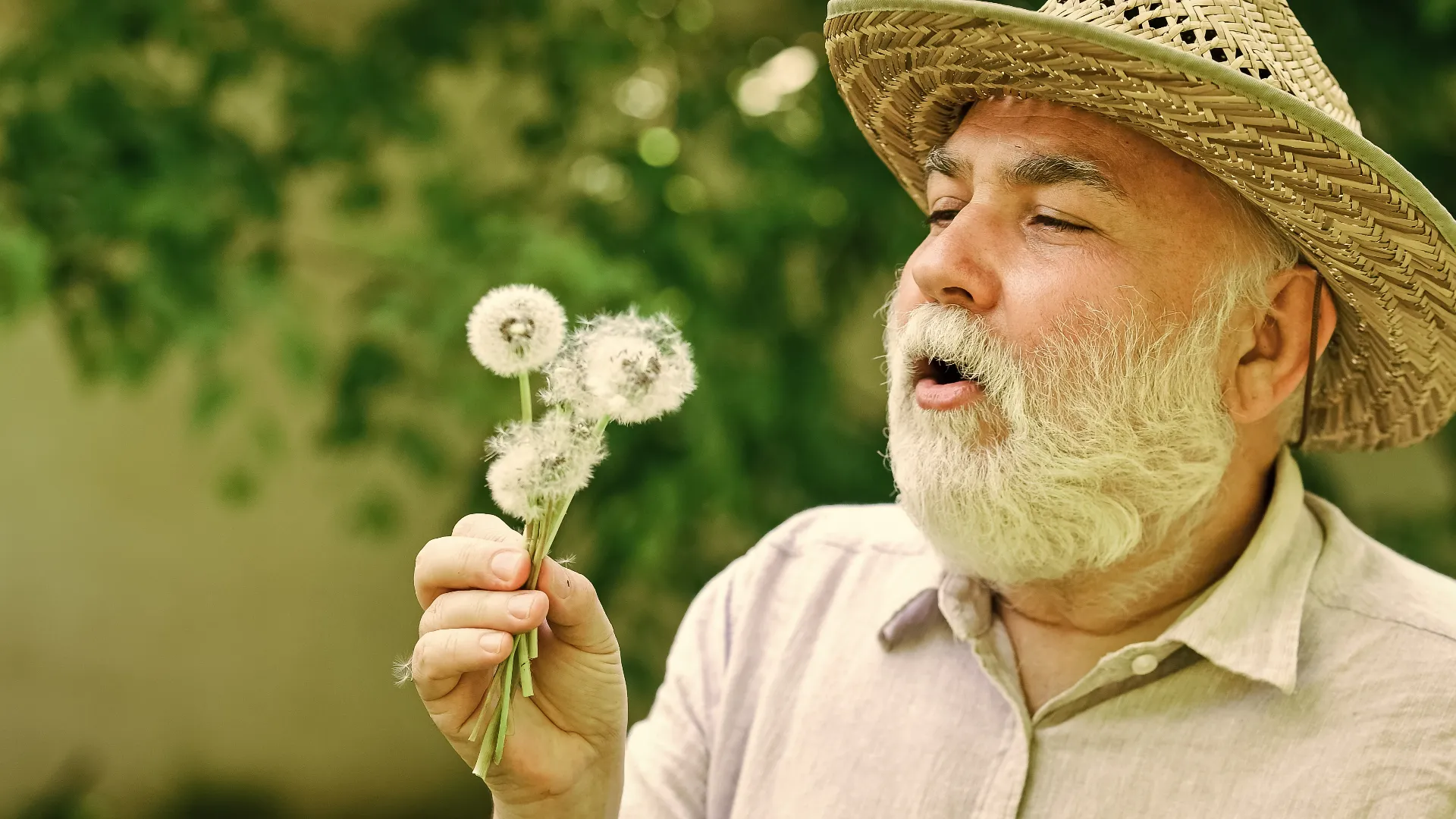 Older man blowing dandelions