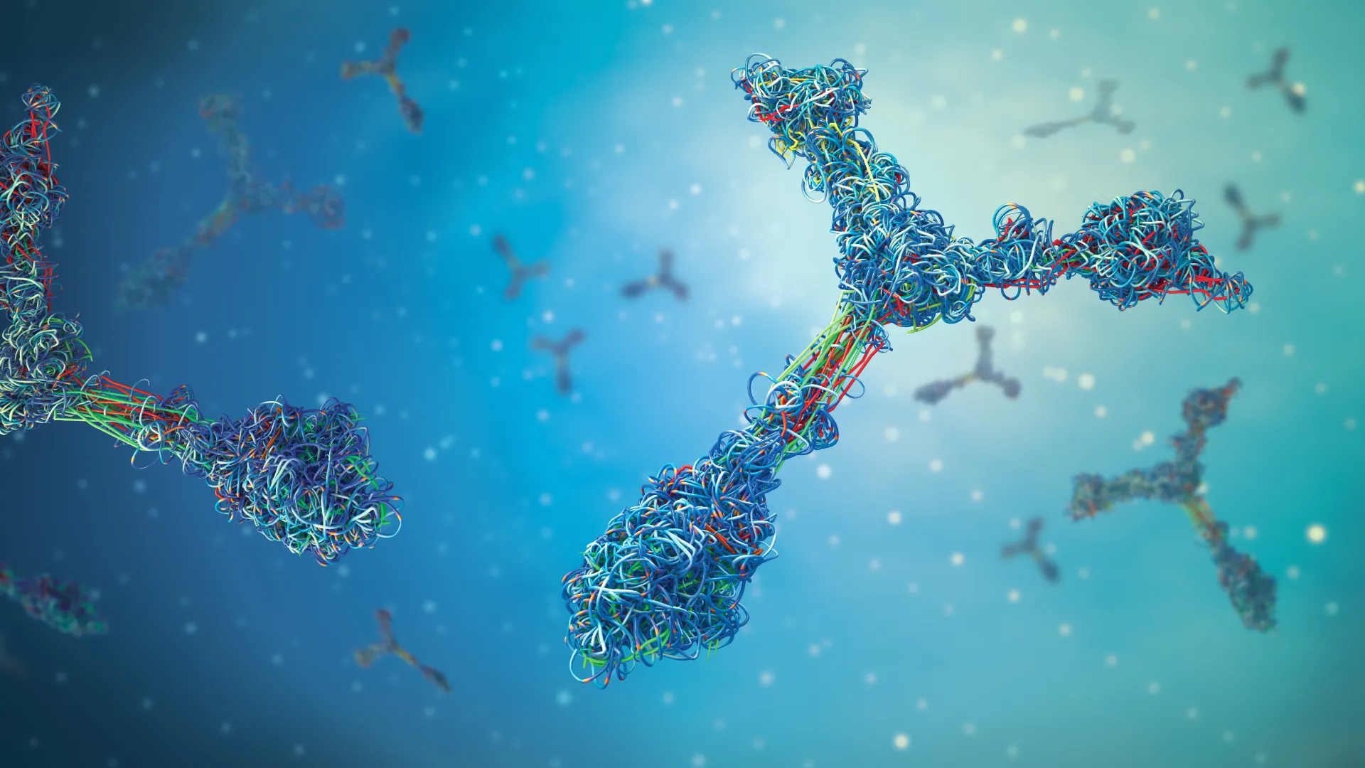 The Difference Between IgE, IgG, and IgA Antibodies