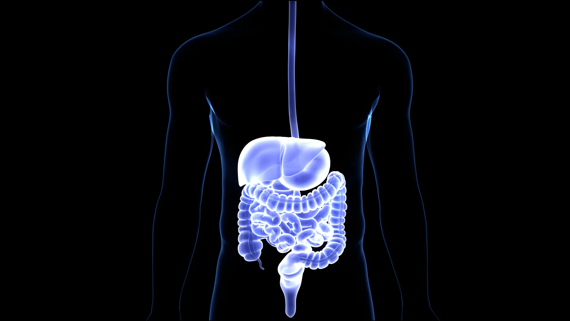 X-ray of stomach and GI tract