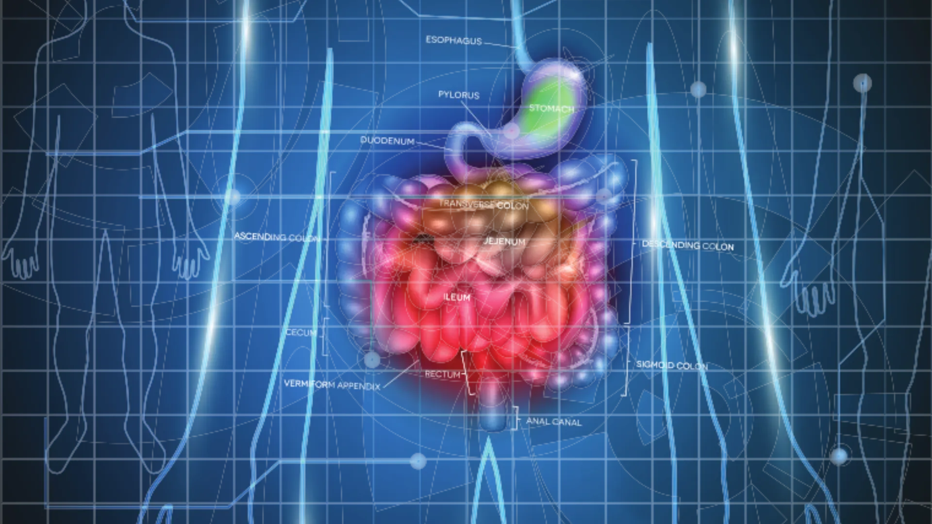 X-ray of GI tract