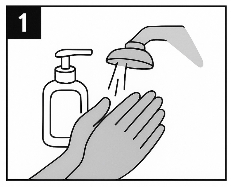 Step 1 Wash Your Hands