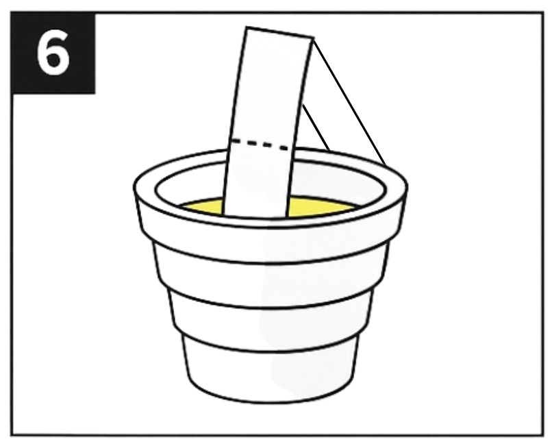Step 6 Place Filter in Cup