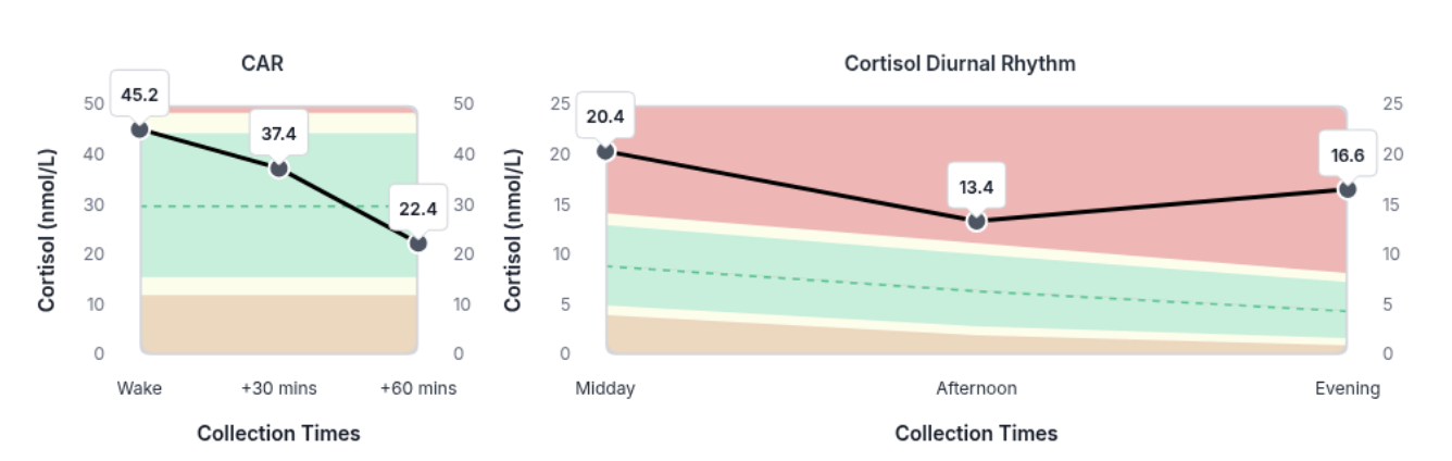 Baseline cortisol awakening response declining from waking with elevated evening cortisol before GLP-1 therapy