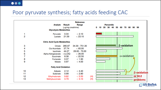 What poor pyruvate synthesis; fatty acids feeding CAC looks like