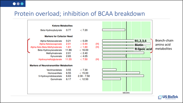 What protein overload; inhibition of BCAA breakdown looks like