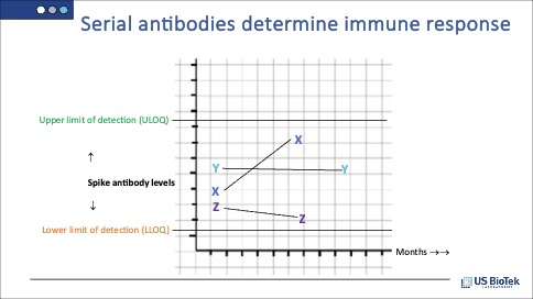 Serial antibodies determine immune response chart