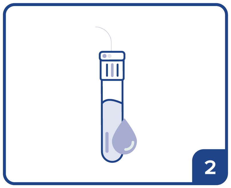 step 2 serum